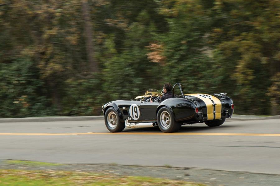  Shelby Cobra 289 Competition (19) 1964 года  (фото 7 из 12)